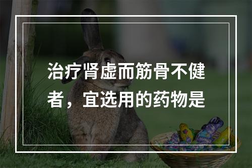 治疗肾虚而筋骨不健者，宜选用的药物是