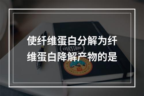 使纤维蛋白分解为纤维蛋白降解产物的是