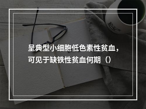 呈典型小细胞低色素性贫血，可见于缺铁性贫血何期（）