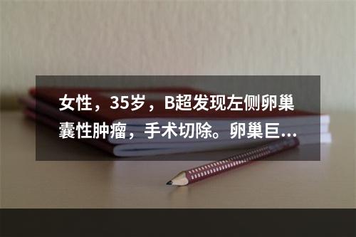 女性，35岁，B超发现左侧卵巢囊性肿瘤，手术切除。卵巢巨检为