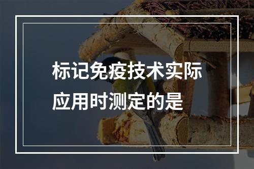 标记免疫技术实际应用时测定的是