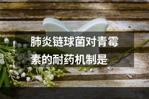 肺炎链球菌对青霉素的耐药机制是