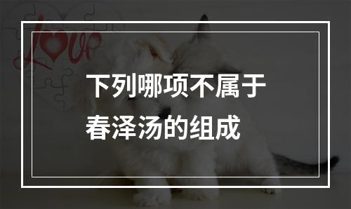 下列哪项不属于春泽汤的组成