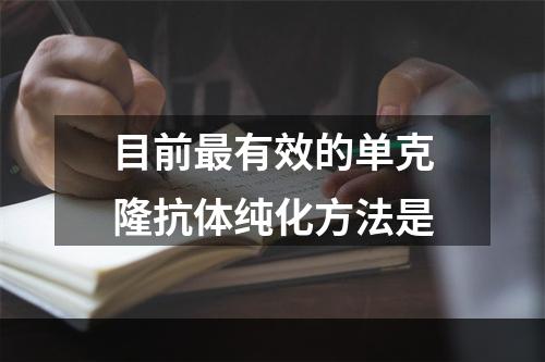 目前最有效的单克隆抗体纯化方法是