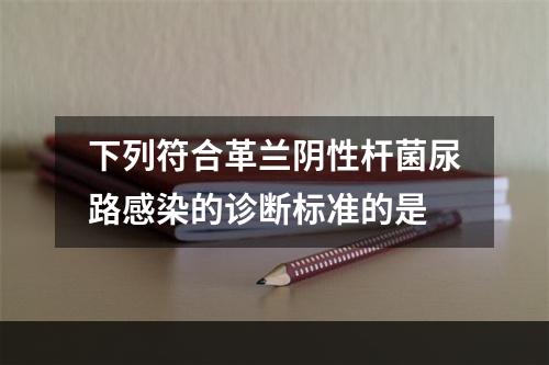 下列符合革兰阴性杆菌尿路感染的诊断标准的是