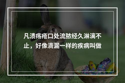 凡溃疡疮口处流脓经久淋漓不止，好像滴漏一样的疾病叫做