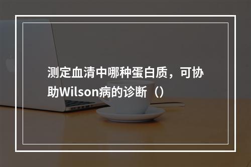 测定血清中哪种蛋白质，可协助Wilson病的诊断（）