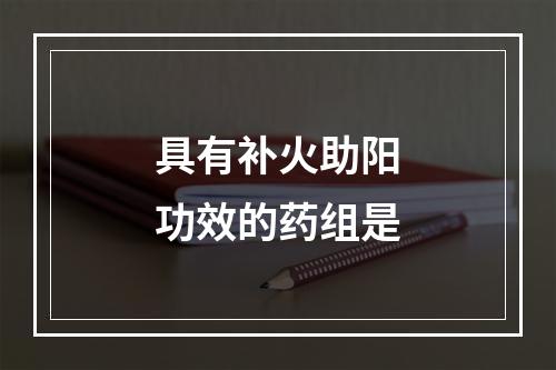 具有补火助阳功效的药组是