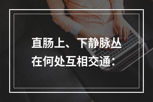 直肠上、下静脉丛在何处互相交通：