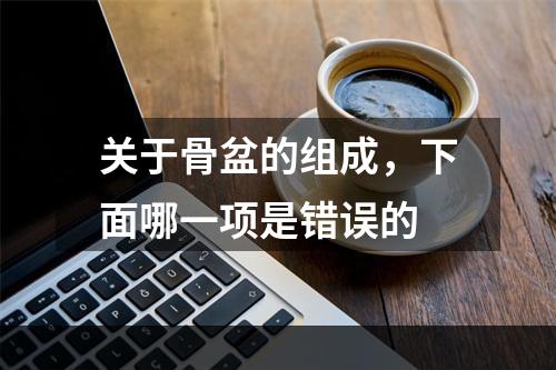 关于骨盆的组成，下面哪一项是错误的