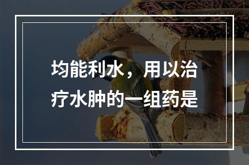 均能利水，用以治疗水肿的一组药是