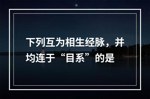 下列互为相生经脉，并均连于“目系”的是