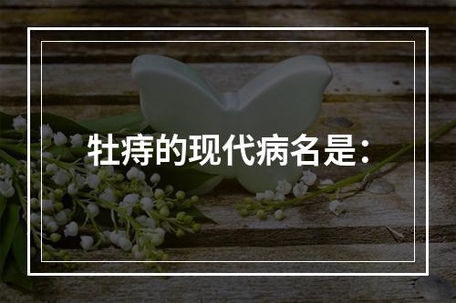 牡痔的现代病名是：