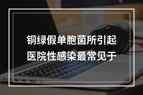 铜绿假单胞菌所引起医院性感染最常见于