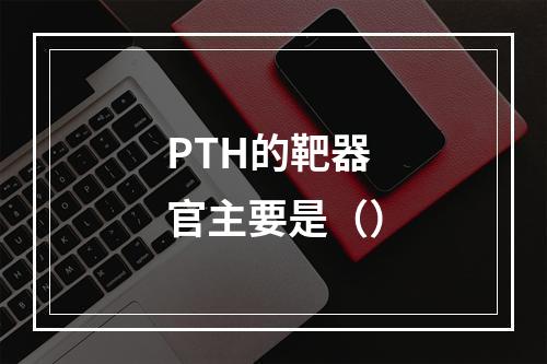 PTH的靶器官主要是（）