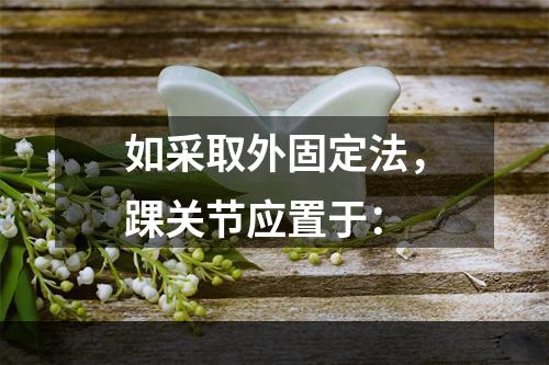 如采取外固定法，踝关节应置于：