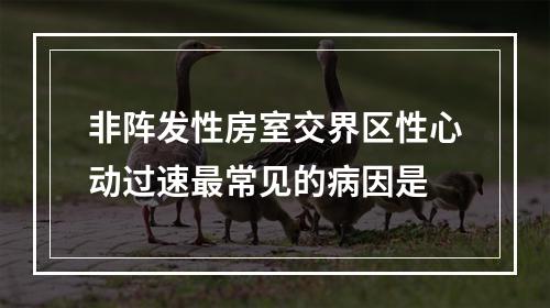 非阵发性房室交界区性心动过速最常见的病因是