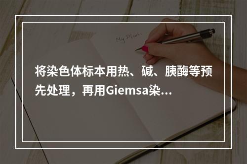 将染色体标本用热、碱、胰酶等预先处理，再用Giemsa染色，