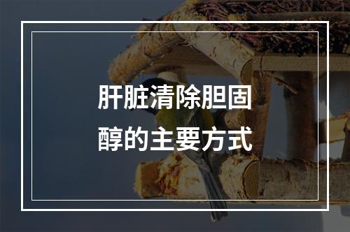 肝脏清除胆固醇的主要方式