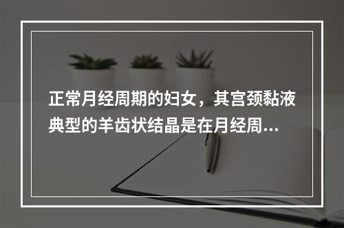 正常月经周期的妇女，其宫颈黏液典型的羊齿状结晶是在月经周期的