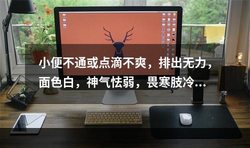 小便不通或点滴不爽，排出无力，面色白，神气怯弱，畏寒肢冷，腰