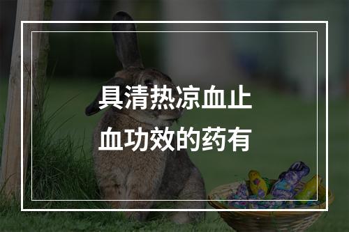 具清热凉血止血功效的药有