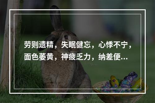 劳则遗精，失眠健忘，心悸不宁，面色萎黄，神疲乏力，纳差便溏，