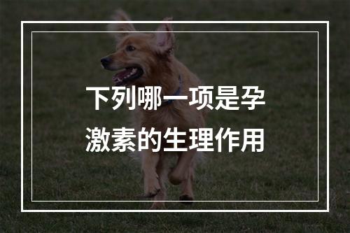 下列哪一项是孕激素的生理作用