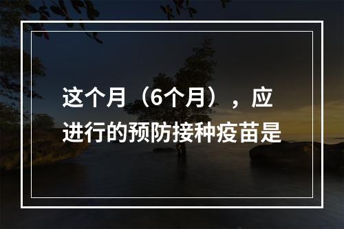 这个月（6个月），应进行的预防接种疫苗是