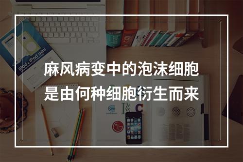 麻风病变中的泡沫细胞是由何种细胞衍生而来