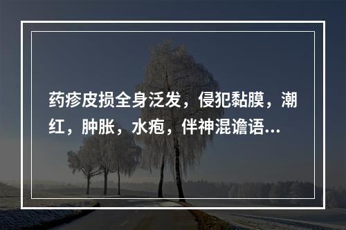 药疹皮损全身泛发，侵犯黏膜，潮红，肿胀，水疱，伴神混谵语，黄