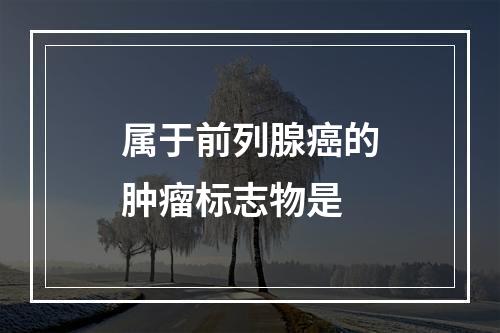 属于前列腺癌的肿瘤标志物是