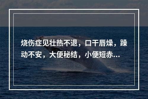 烧伤症见壮热不退，口干唇燥，躁动不安，大便秘结，小便短赤，舌