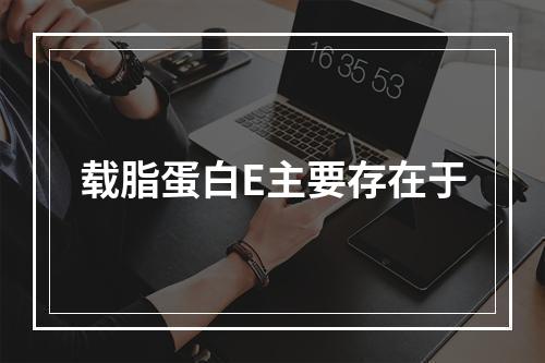 载脂蛋白E主要存在于