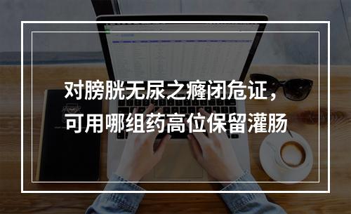 对膀胱无尿之癃闭危证，可用哪组药高位保留灌肠