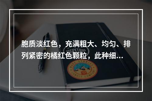 胞质淡红色，充满粗大、均匀、排列紧密的橘红色颗粒，此种细胞是