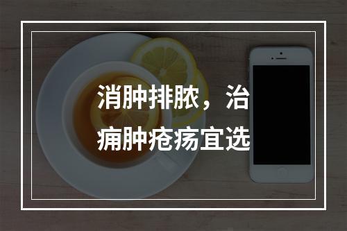 消肿排脓，治痈肿疮疡宜选