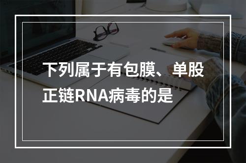 下列属于有包膜、单股正链RNA病毒的是