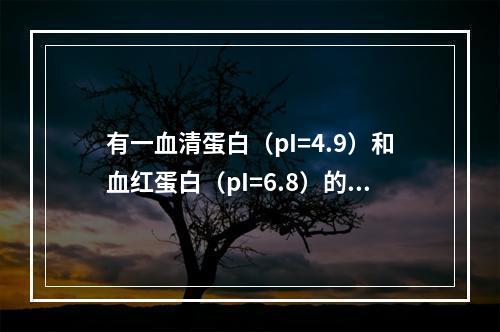 有一血清蛋白（pI=4.9）和血红蛋白（pI=6.8）的混合