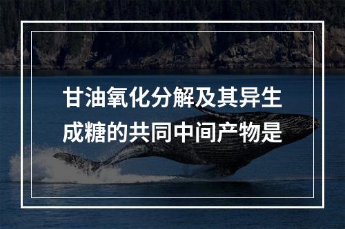 甘油氧化分解及其异生成糖的共同中间产物是