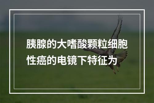 胰腺的大嗜酸颗粒细胞性癌的电镜下特征为