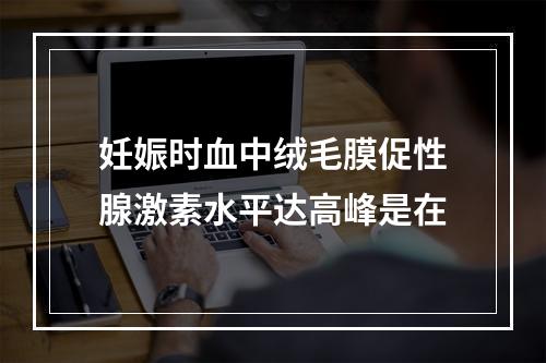 妊娠时血中绒毛膜促性腺激素水平达高峰是在