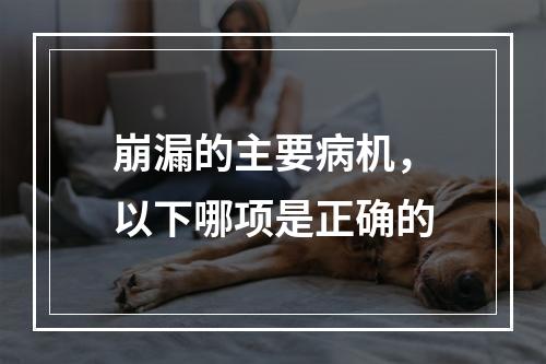 崩漏的主要病机，以下哪项是正确的