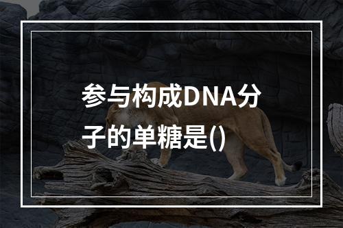 参与构成DNA分子的单糖是()