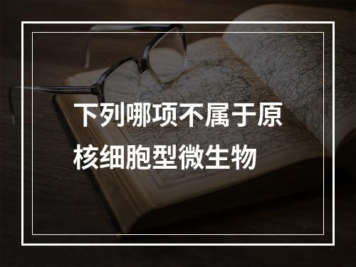 下列哪项不属于原核细胞型微生物