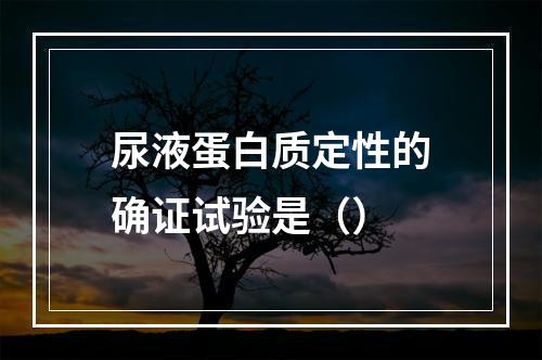 尿液蛋白质定性的确证试验是（）