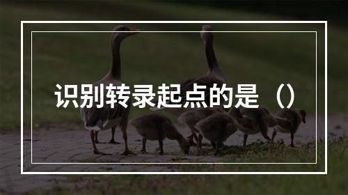 识别转录起点的是（）