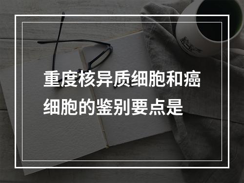 重度核异质细胞和癌细胞的鉴别要点是