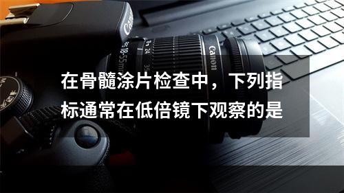 在骨髓涂片检查中，下列指标通常在低倍镜下观察的是