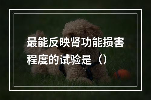 最能反映肾功能损害程度的试验是（）